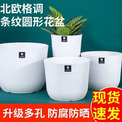 【控根花盆】清仓捡漏大号多肉大口径养花专用特大号大口径塑料