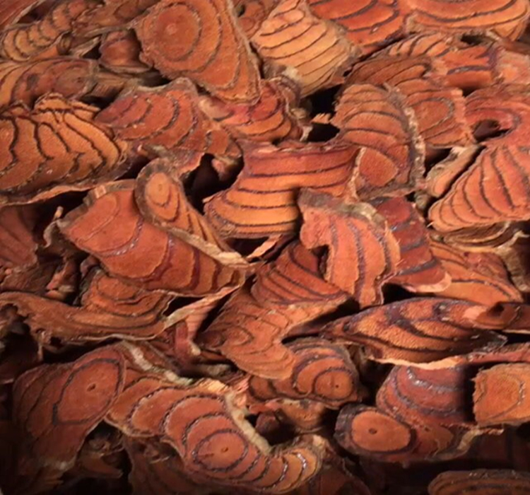 野生鸡血藤中药材 鸡血屯 血风藤 红藤 大血藤 500g包邮