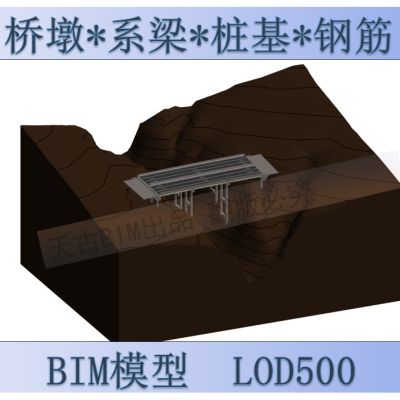 LOD500桩基系梁墩柱Revit钢筋模型BIM代做