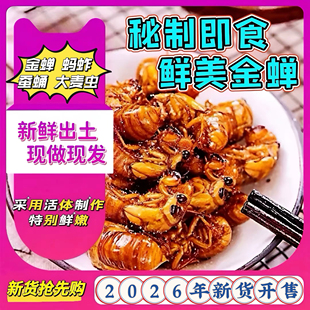 香酥知了猴【山东金蝉】新鲜金蝉蛹油炸即食唐僧肉虫子爬叉结了龟