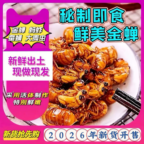 香酥知了猴【山东金蝉】新鲜金蝉蛹油炸即食唐僧肉虫子爬叉结了龟