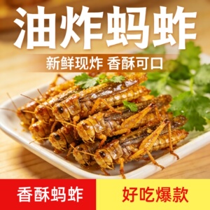 餐厅同款2盘量【去内脏】香酥蚂蚱油炸即食蝗虫昆虫子蚱蜢小吃