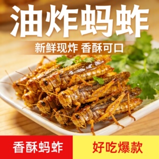 餐厅同款2盘量【去内脏】香酥蚂蚱油炸即食蝗虫昆虫子蚱蜢小吃