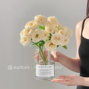 簡約現(xiàn)代ins風(fēng)玻璃花瓶透明水培植物鮮花客廳桌面插花裝 飾品擺件