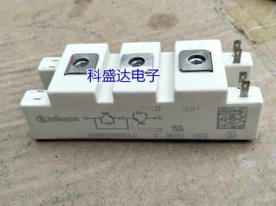 BSM100GB60DLC BSM150GB60DLC BSM200GB60DLC BSM75GB/50GBDLC