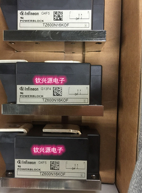 TZ600N16KOF DZ600R16KOF TZ500N16KOF TZ425N16KOF可控硅 咨询