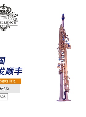 艾舍伦斯高端定制降B调高音萨克斯ASSP-626成人演奏专业吹奏乐器