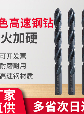 2全磨加工钢大尺寸高速钢正品氮化LT500含钴直柄/10麻花锈钻头