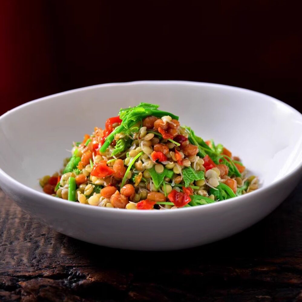 酒店新品探味野豆芽扁豆芽二食四味凉拌蔬菜特色方便半成品菜商用