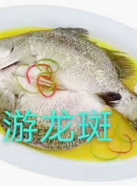 海鲜冷冻鱼类酒店特色食材