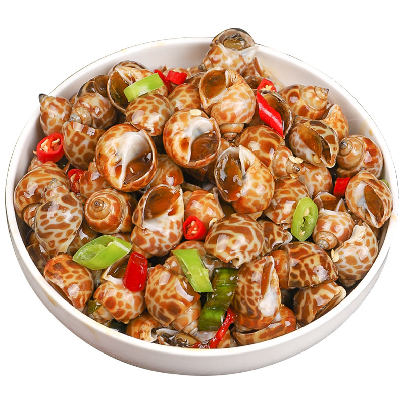 酒店特色菜麻辣花螺东风螺海螺海猪螺花螺即食袋装冷冻熟食小海鲜
