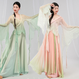古典舞飘逸舞蹈服新款渐变蝴蝶身韵表演出服超仙中国舞练功服纱衣