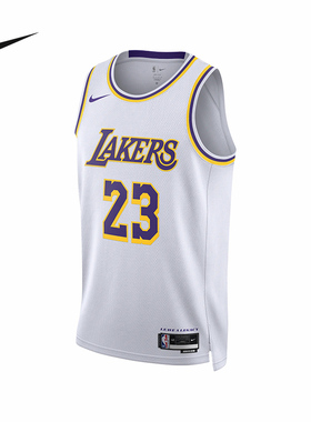 nike耐克NBA湖人队勒布朗·詹姆斯篮球背心男速干球衣DN2081-103