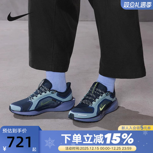 Nike耐克男鞋飞马41防泼水跑步鞋PEGASUS 41 GTX运动鞋FQ1356-006