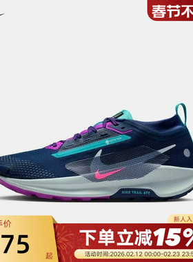 Nike耐克男鞋飞马Pegasus Trail 5 GTX拒水越野跑步鞋FQ0908-403