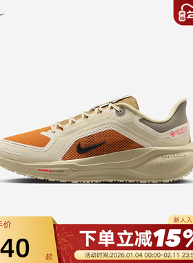 NIKE耐克女鞋飞马41跑步鞋PEGASUS 41 GTX防泼水运动鞋IM6700-852