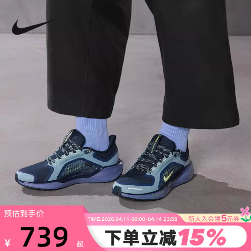 Nike耐克男鞋飞马41防泼水跑步鞋PEGASUS 41 GTX运动鞋FQ1356-006