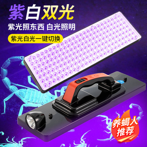 照蝎子灯专用大功率紫光灯