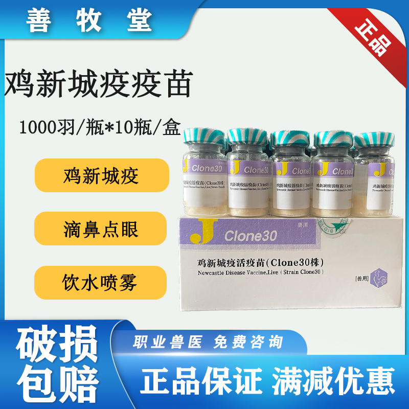 兽药禽用鸡四系肉鸡新城疫活苗蛋鸡C30毒株10瓶装包邮送冰泡沫箱-封面