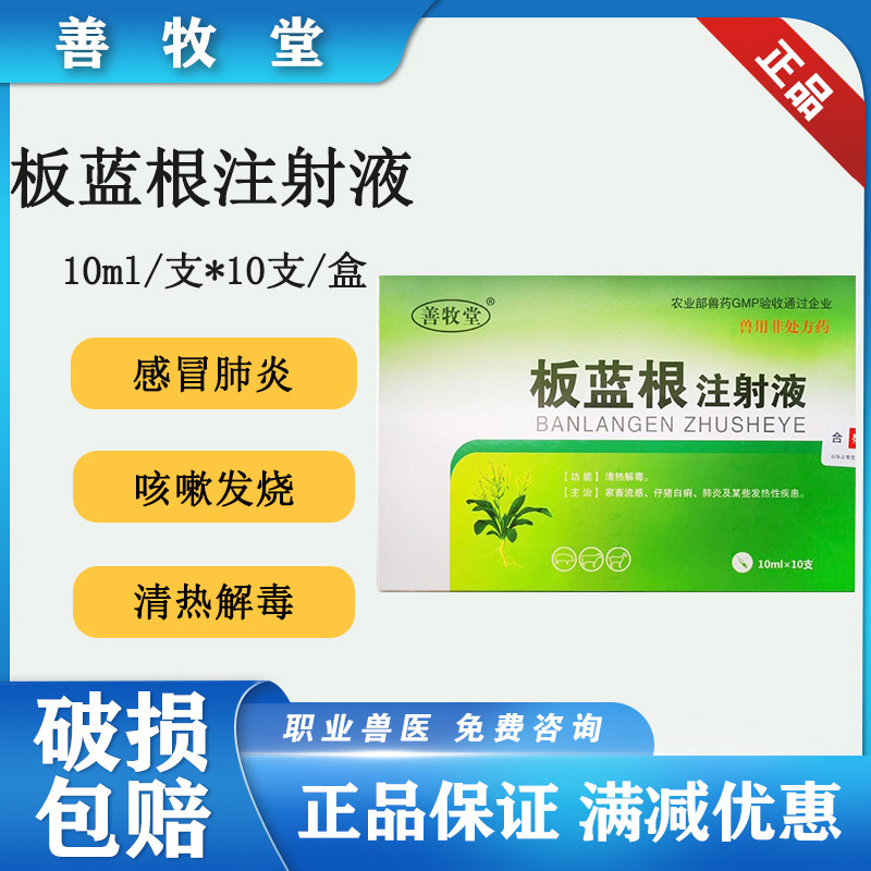 兽药板蓝根犬猫高热感冒10支