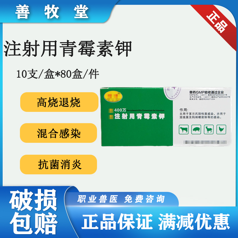 兽药400万青霉素钾猪药鸡拉稀药宠物犬猫感冒消炎狗药10支装包邮 宠物/宠物食品及用品 家养大动物药品 原图主图