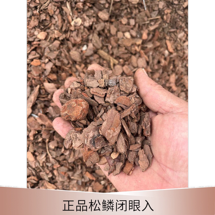正宗松树皮兰花专用土颗粒营养土君子兰蝴蝶兰种植高级植料