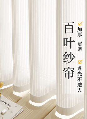 竖百叶纱帘遮阳新款窗帘透光不透人白色飘窗窗纱白纱帘定制