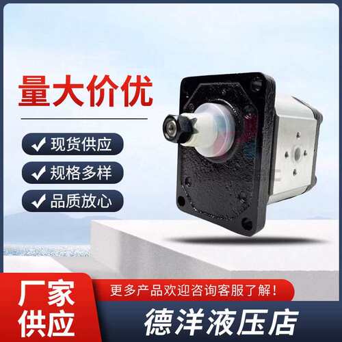 斯帕齿轮马达CASAPPA齿轮泵PLM10-1/1.5/2/2.5/3.15/4/5液压帮浦