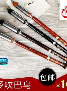 云南黑色新款专卖演奏可拆乐器