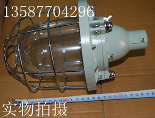 B3C-100W 小BAD53防爆灯 防爆灯罩 防爆灯具