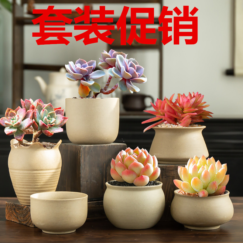 多肉花盆陶瓷植物复古素烧套装