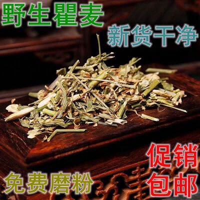 野生瞿麦中药材500克瞿麦新货石竹子花巨麦曲麦翟麦新鲜干货包邮