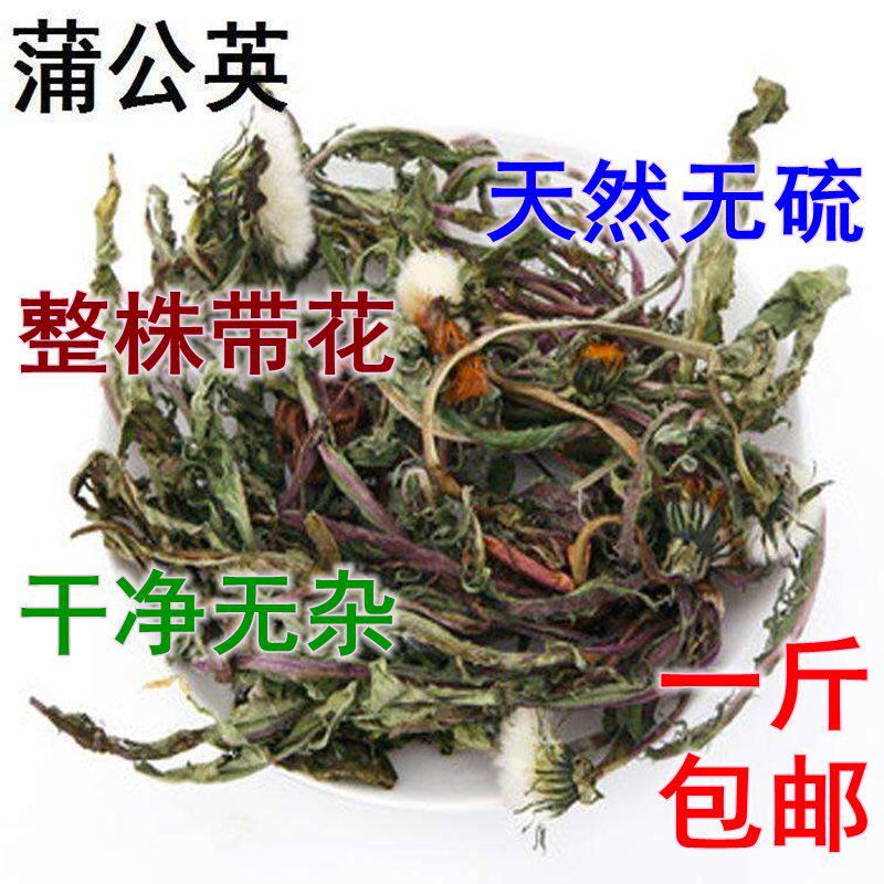 蒲公英中药材正品天然整株带花婆婆丁蒲公英粉公英根新货促销包邮