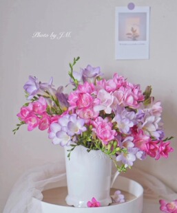 香雪兰小仓兰时令袋鼠爪鲜切花白色紫色婚礼生日云南昆明空运包邮