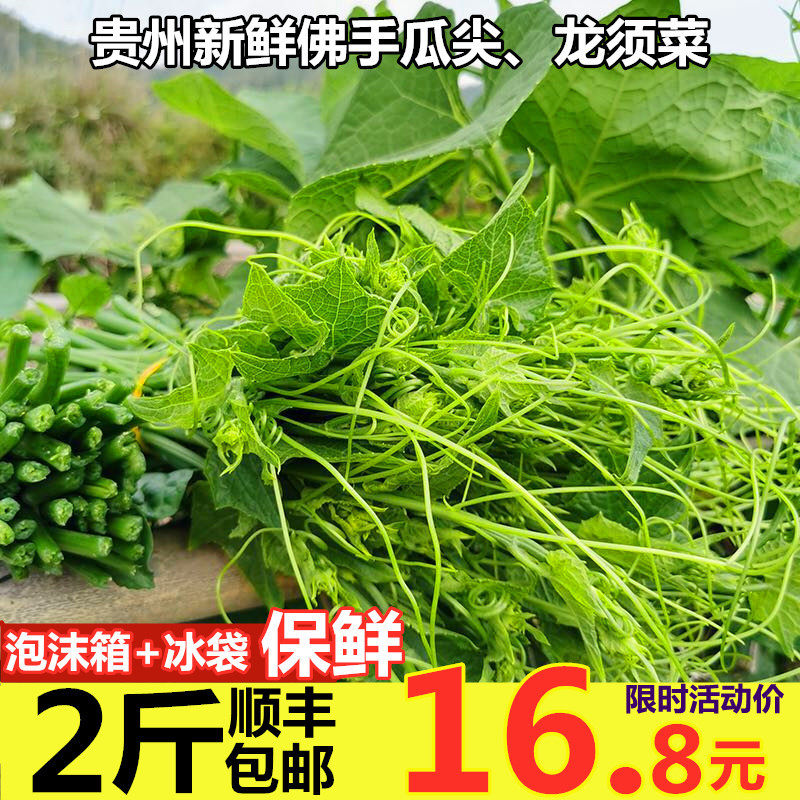 佛手瓜新鲜 价格 怎么样 图片