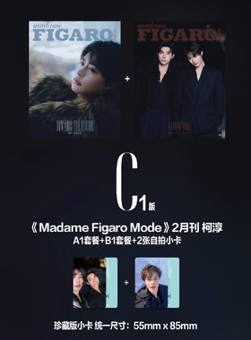 Madame Figaro Mode杂志2025年2月刊/柯淳珍藏C版套装