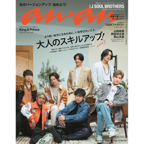 anan普通版2023年2月22号