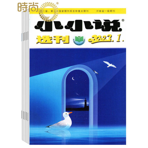 杂志订阅文学不止5折小小说选刊