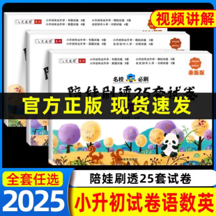 艾麦思2025年小升初陪娃刷透25套试卷人教版 语文数学英语名校冲刺六年级升初中模拟冲刺卷真题卷子分班卷必刷题毕业总复习资料大全