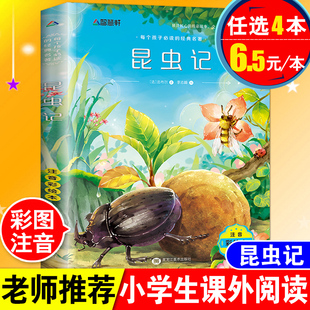 正版 12岁儿童读物世界经典 小学生一年级二年级三四年级下册课外阅读必读书6 名著故事带拼音绘本 法布尔昆虫记注音美绘版