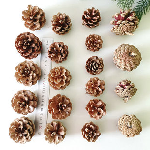 饰摆件干花拍摄道具画画手工松球 30个松果塔松幼儿园圣诞节装 包邮