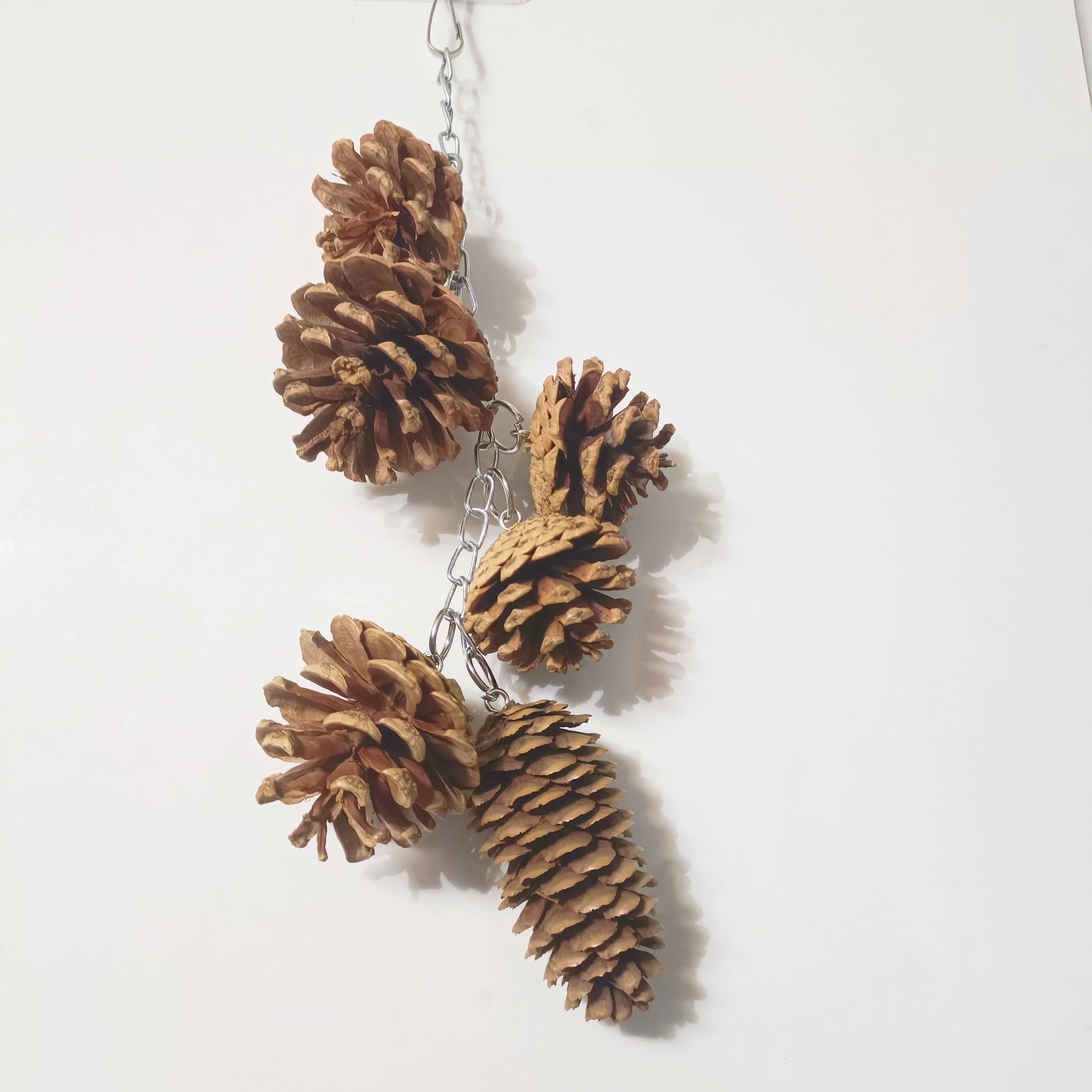 鹦鹉天然啃咬松果玩具串 鹦鹉玩具 训练益智玩具鹦鹉用品用具攀爬,宠物/宠物食品及用品,鸟玩具,淘宝优惠券,粉丝福利购,淘宝优惠卷