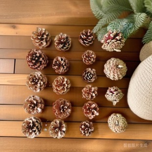 饰幼儿园摆件干花拍摄道具画画手工松球 30个松果塔松圣诞装 包邮