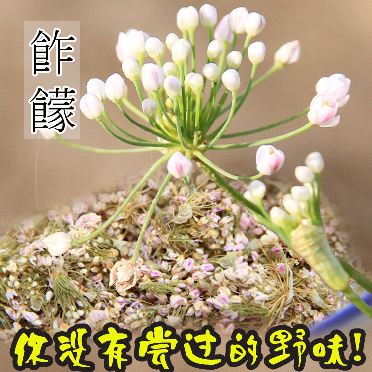 陕北野生干炸饛花炸饛扎蒙花野生炝油调料