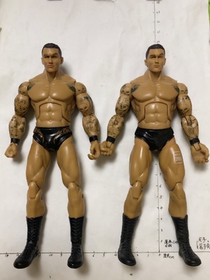Wwe JAKKS 摔跤人偶 兰迪奥顿 Randy Orton 关节可动肌肉男人偶