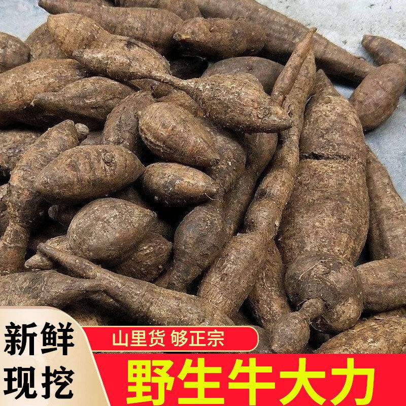 正宗深山野生牛大力500g中药材特级粉质牛大力新鲜现挖煲汤泡酒