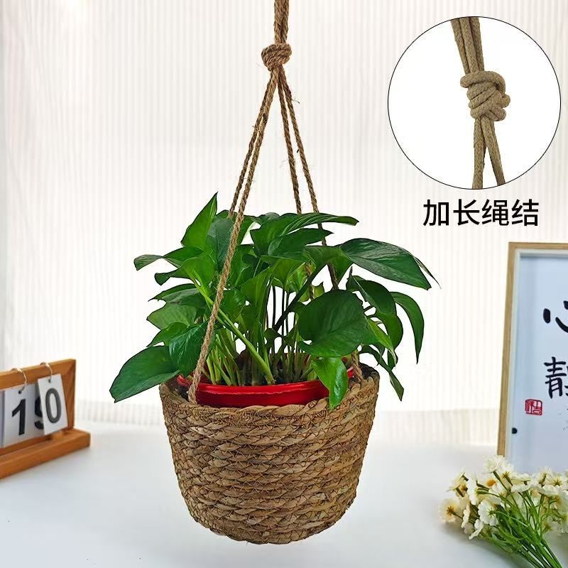 藤编织草吊篮式花盆绿萝挂