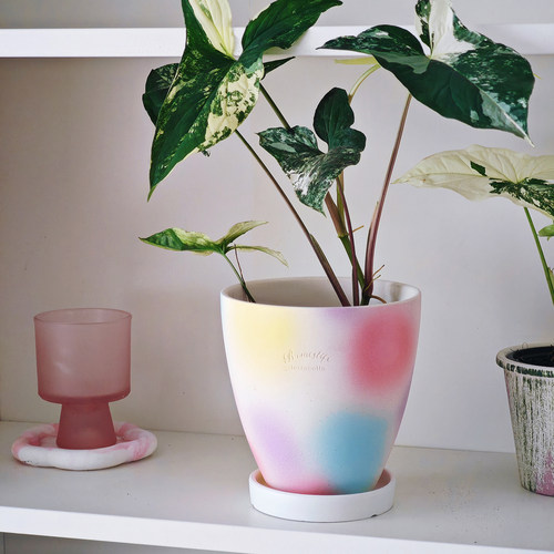 植物幻想陶瓷创意马卡龙花盆