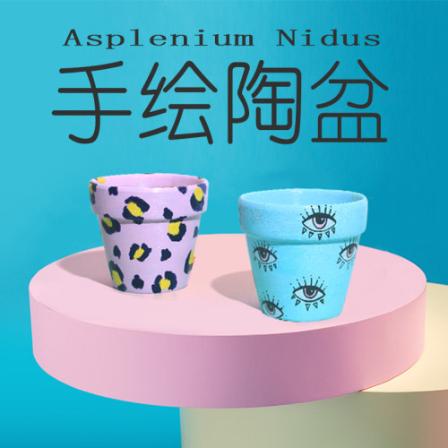 植物幻想手绘红陶盆绿植多肉创意有趣花卉办公室桌面北欧花盆礼物