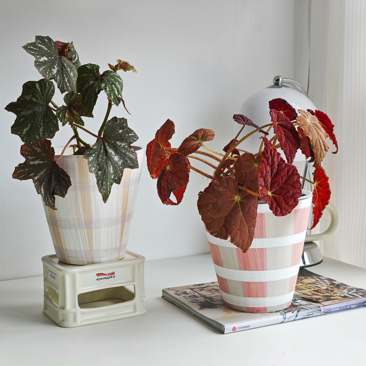 植物幻想景德镇陶瓷手绘创意绿植吸水透气办公室桌面白陶礼物花盆,鲜花速递/花卉仿真/绿植园艺,花盆,淘宝优惠券,粉丝福利购,淘宝优惠卷